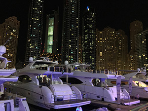 IHSI 2018 Dubai, UAE