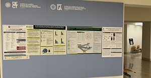 IHSI 2024 Palermo, Italy